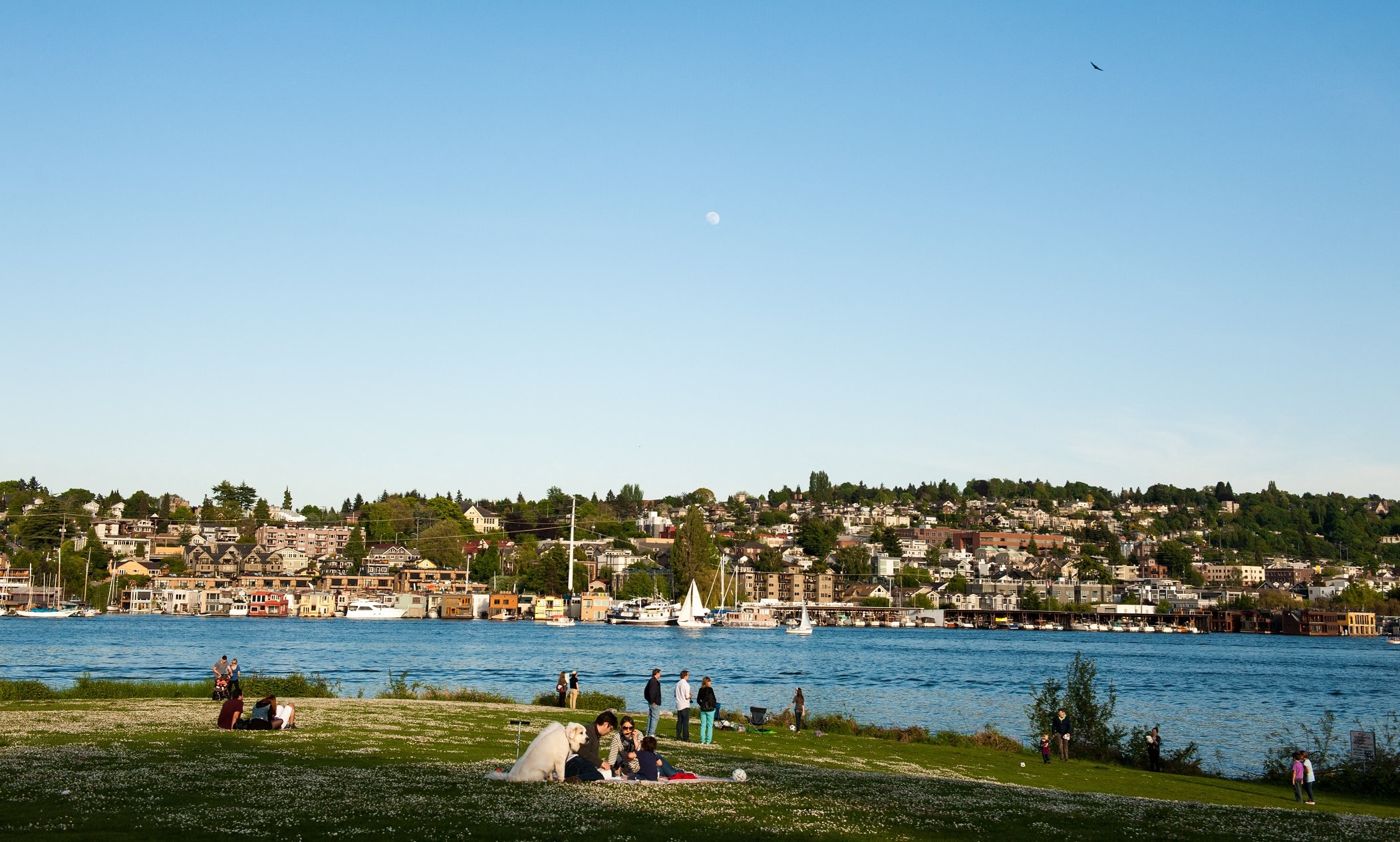 Eastlake Flats Apartments in Seattle, WA