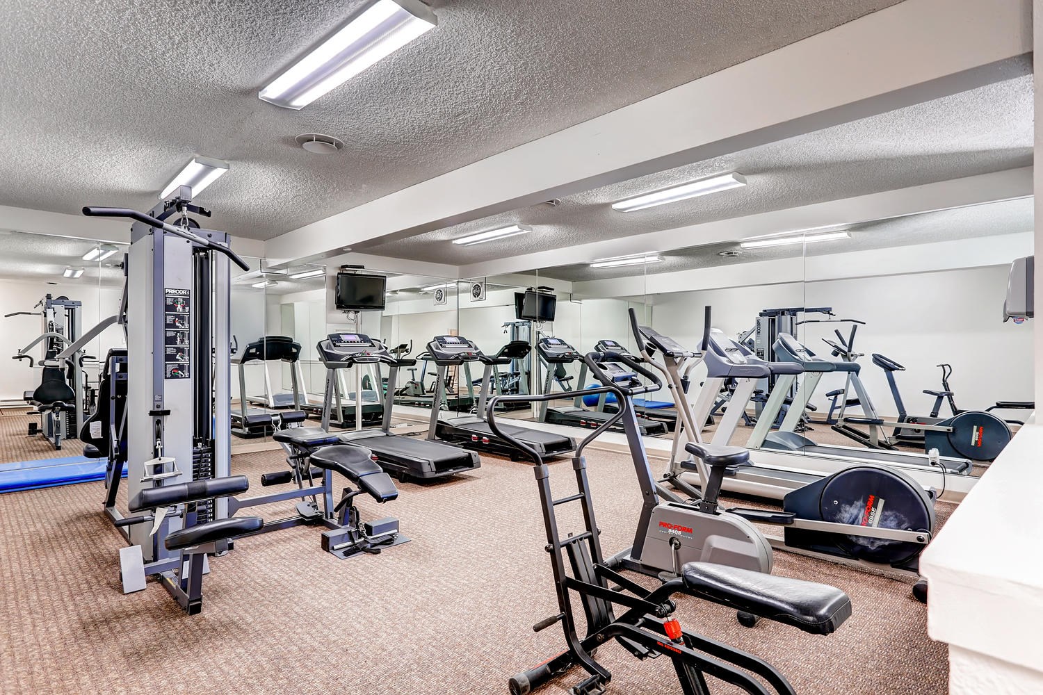 Apartments for Rent in Lakewood WA Photos - Morningtree Park Apartments