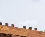 Woodhill Apartments Denton Tx From 810 Rentcaf 233