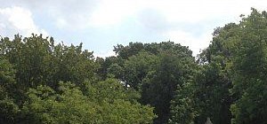 Eagle Pointe Apartments In Knoxville Tn