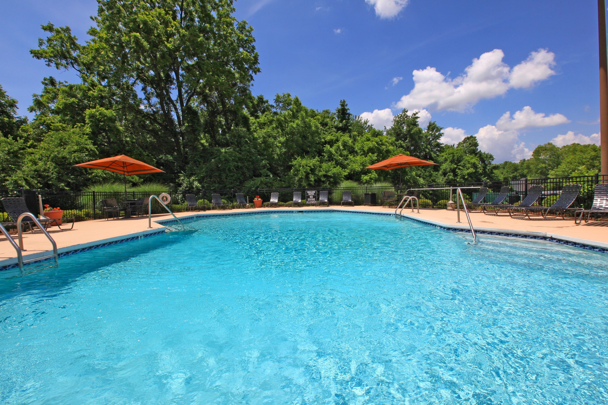 Sedgefield Apartments Apartment and Community Amenities