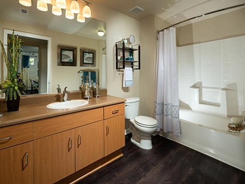 Large bathroom with deep soaking tubs