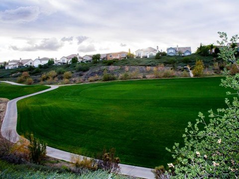 Well Manicured Greens