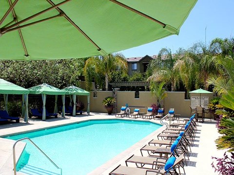 Resort class style swimming pool