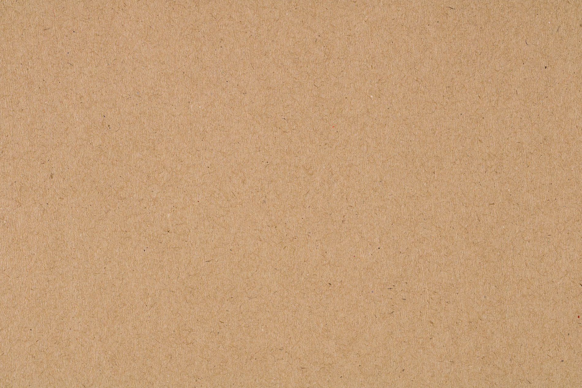 Bridgetown Lofts in Portland, OR Floor Plans