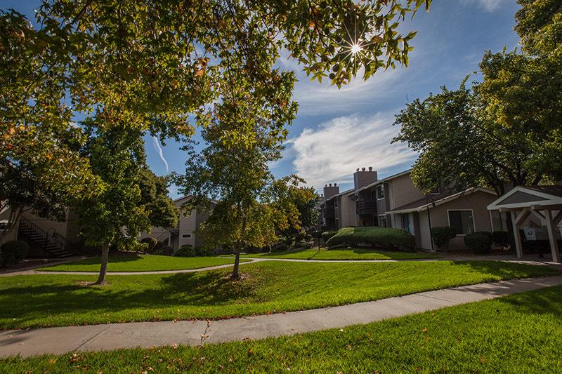Laurel Grove Image 8