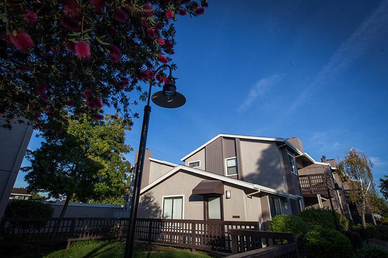 Laurel Grove Image 9