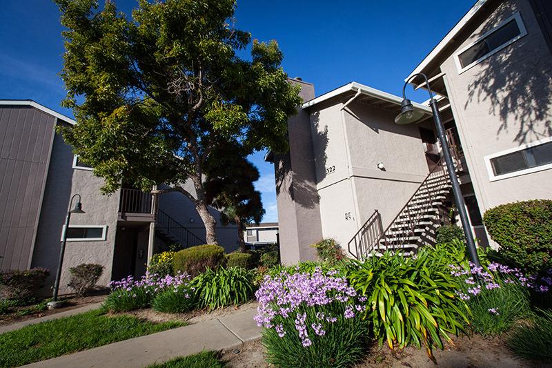 Laurel Grove Image 11