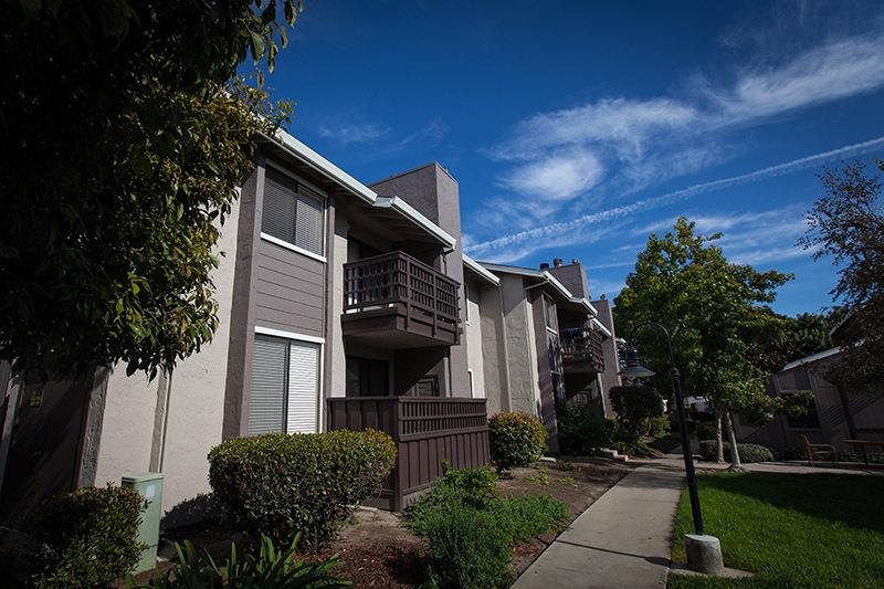 Laurel Grove Image 12