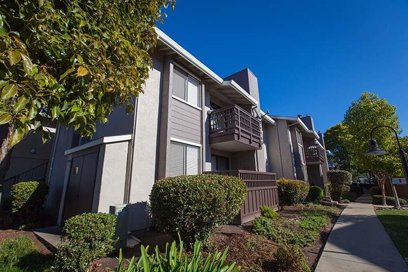 Laurel Grove Image 1