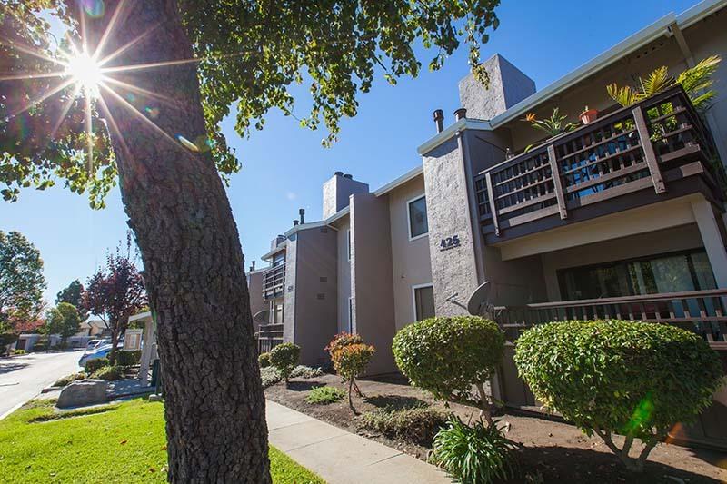 Laurel Grove Image 2