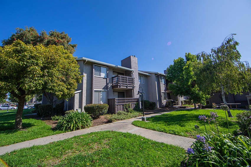 Laurel Grove Image 23