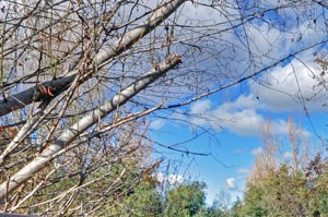 Renaissance Apartments in Santa Rosa, CA 95404 - RENTCafé