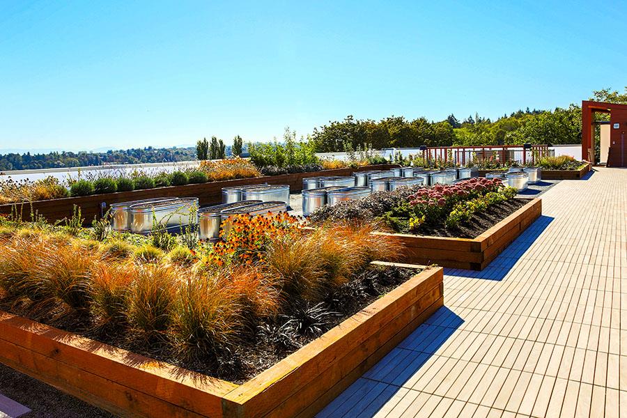 Aura West Seattle Image 50