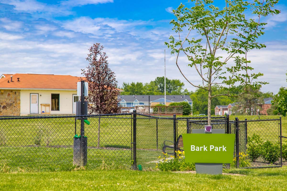 Bark Park