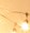 Outdoor Space/Courtyard at The Langston