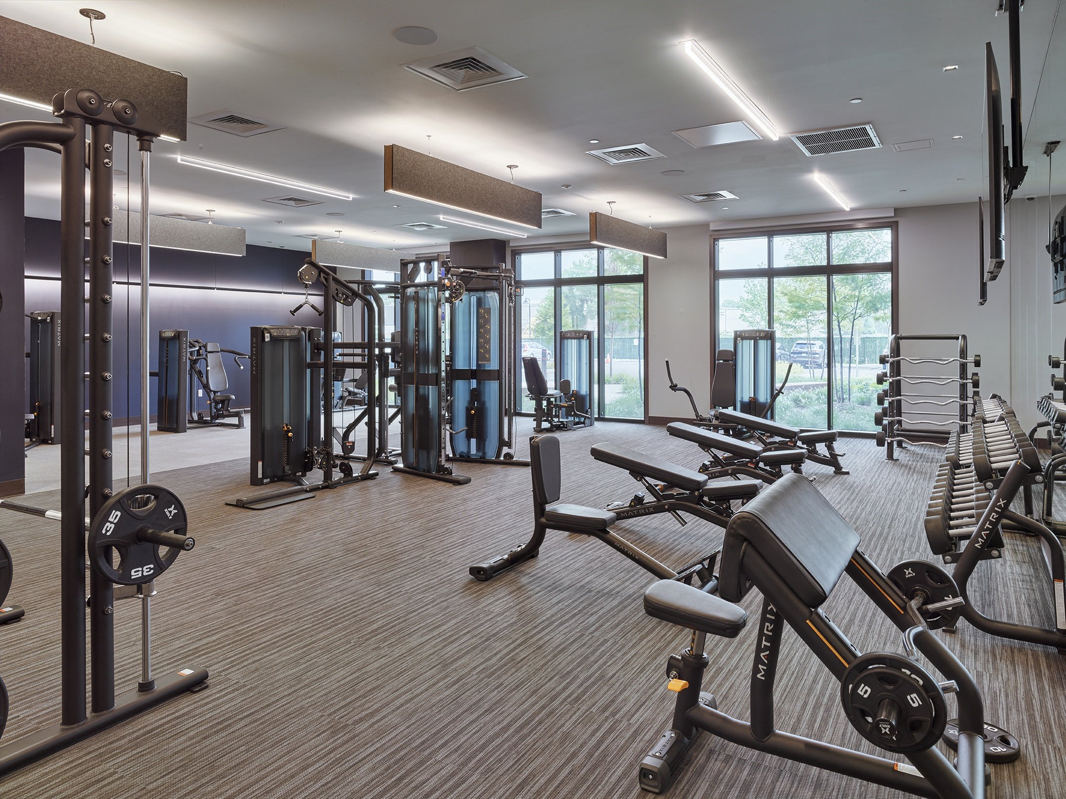 fitness center, free weights, cardio, weight machine