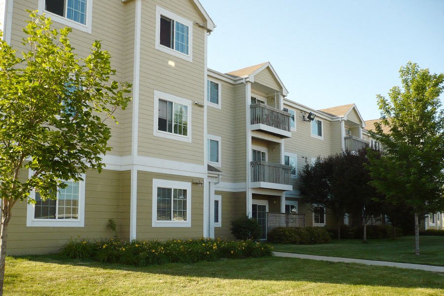Meadow Wood 2