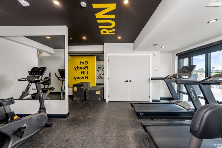 Muse Gym