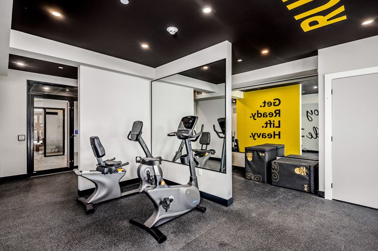 Muse Gym