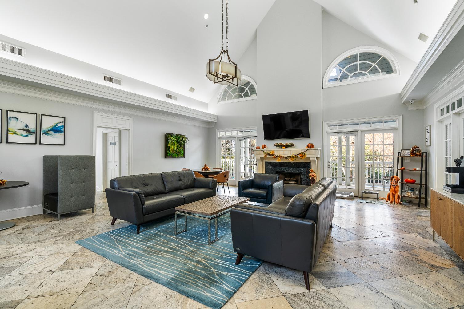 A living room with a grey couch and a blue rug.