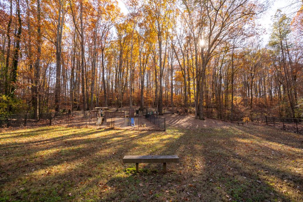 A park with a bench and trees.