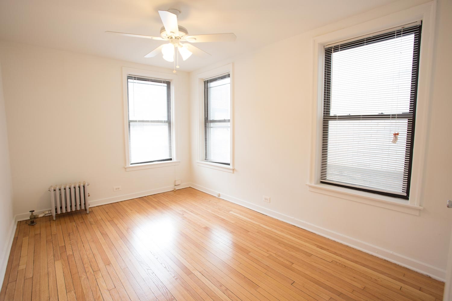 5337 S. Hyde Park Boulevard photo 4