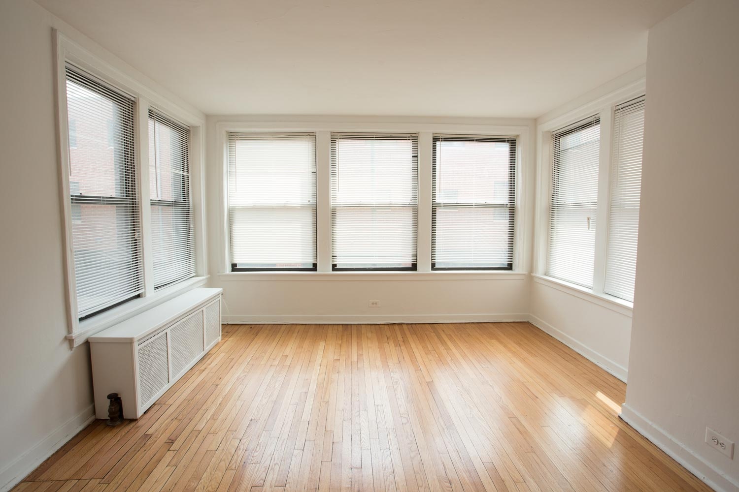 5337 S. Hyde Park Boulevard photo 3