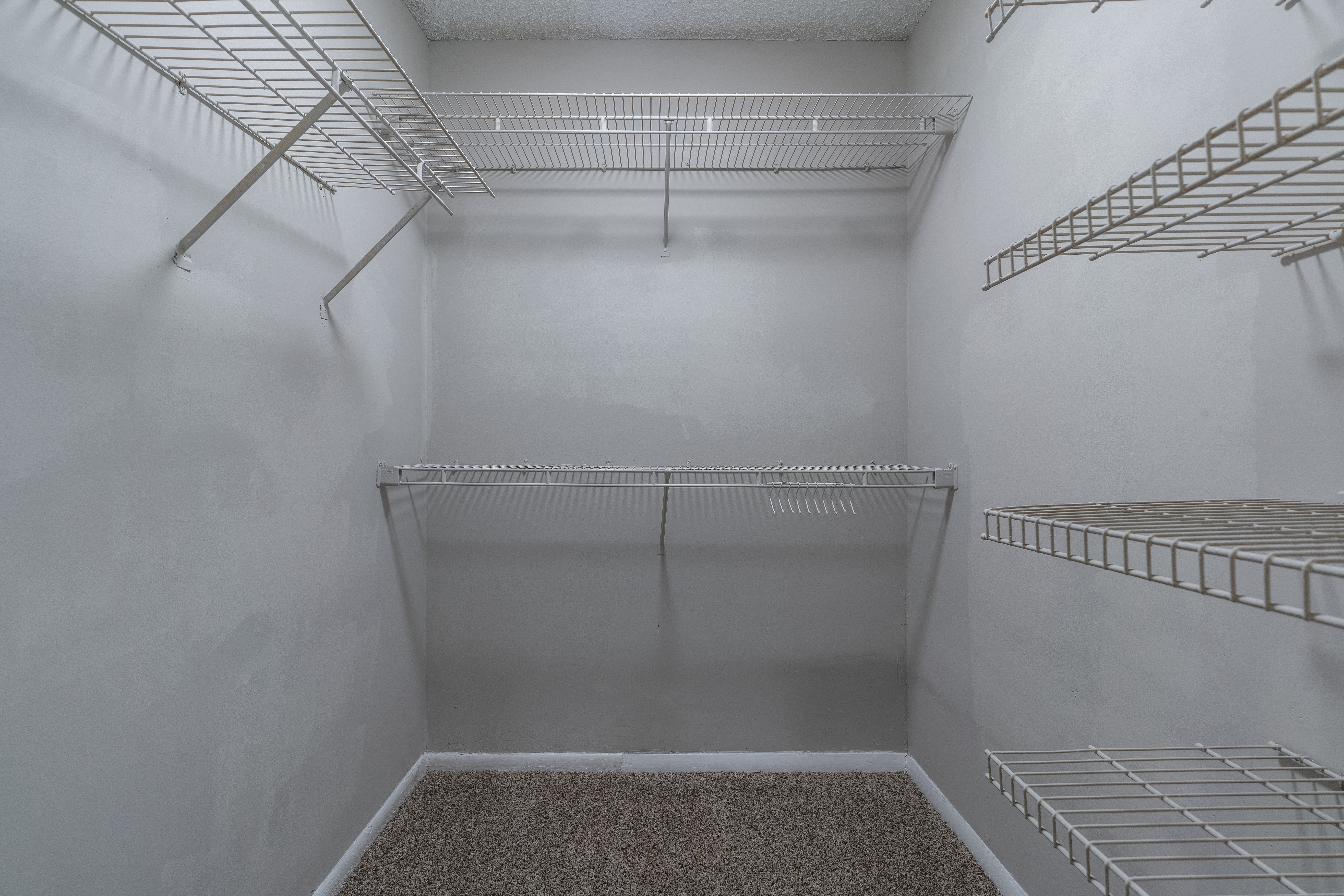 Walk-in Closet with Shelving