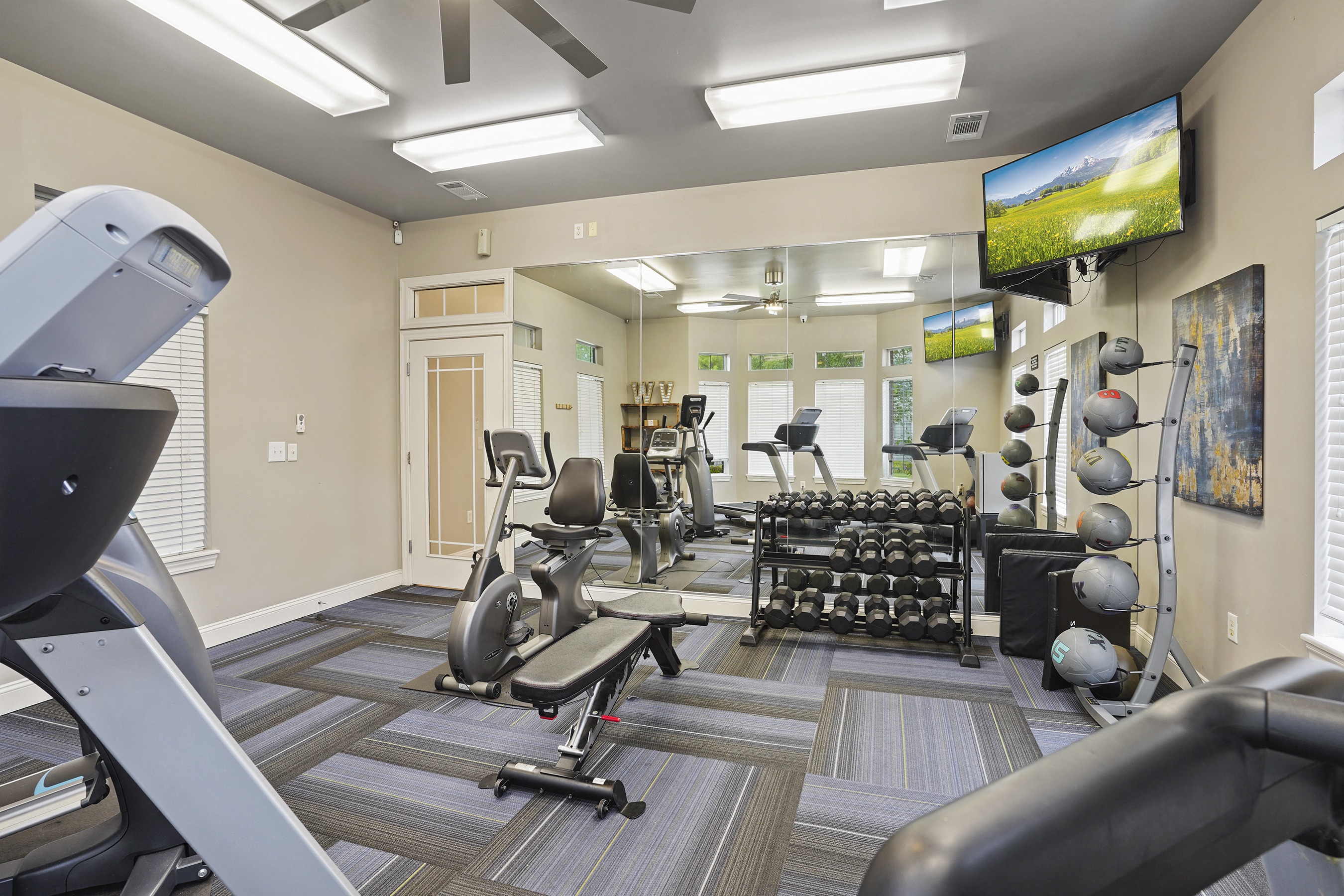 A gym with a variety of equipment including treadmills, weights, and a television.