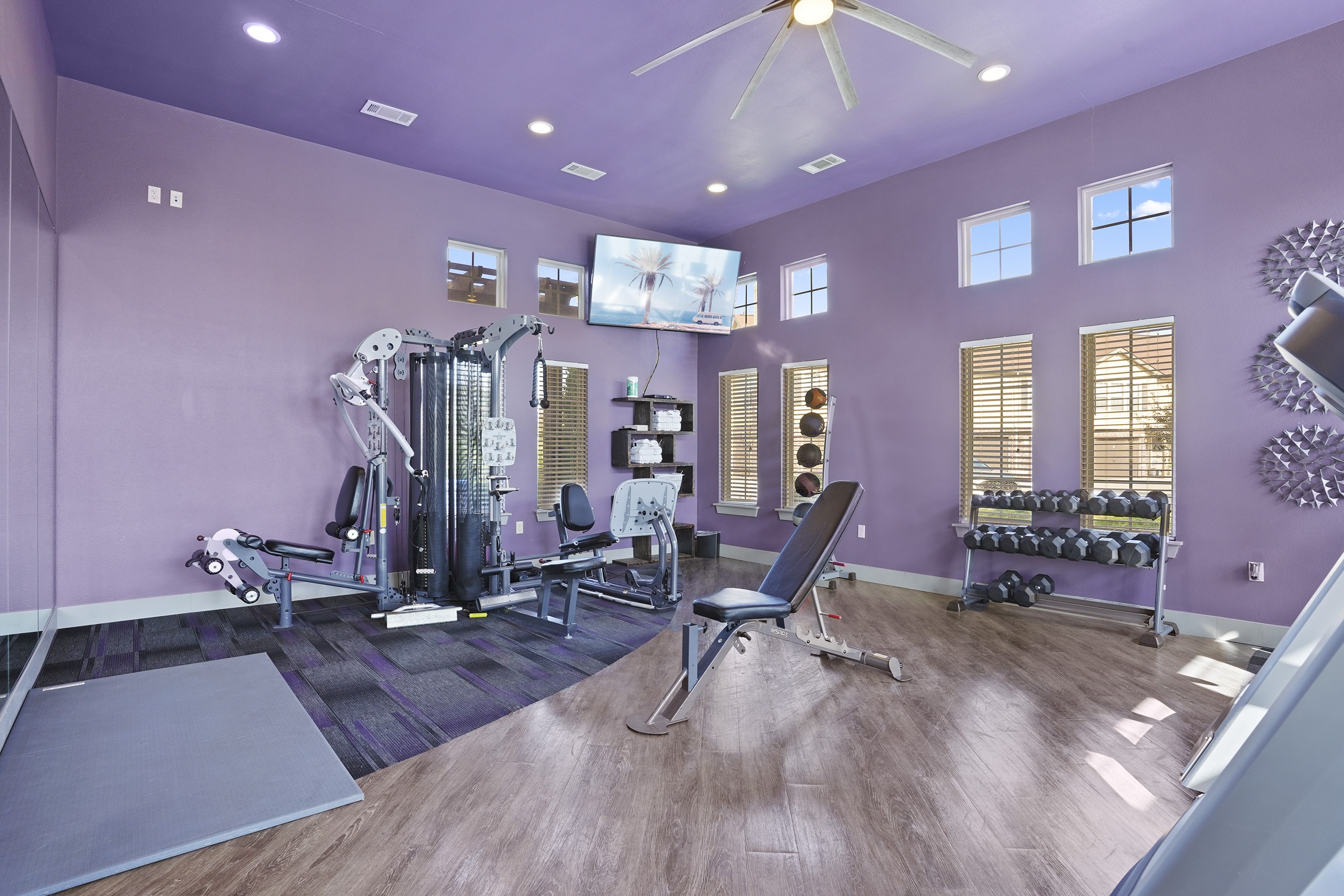 A purple room with a gym set up.