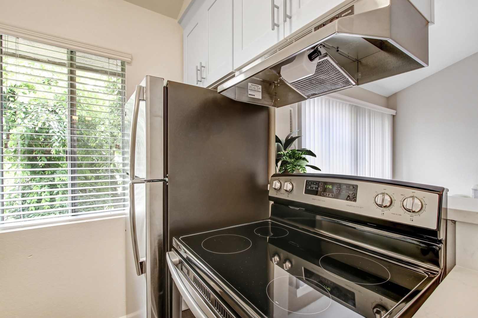 property for rent #3