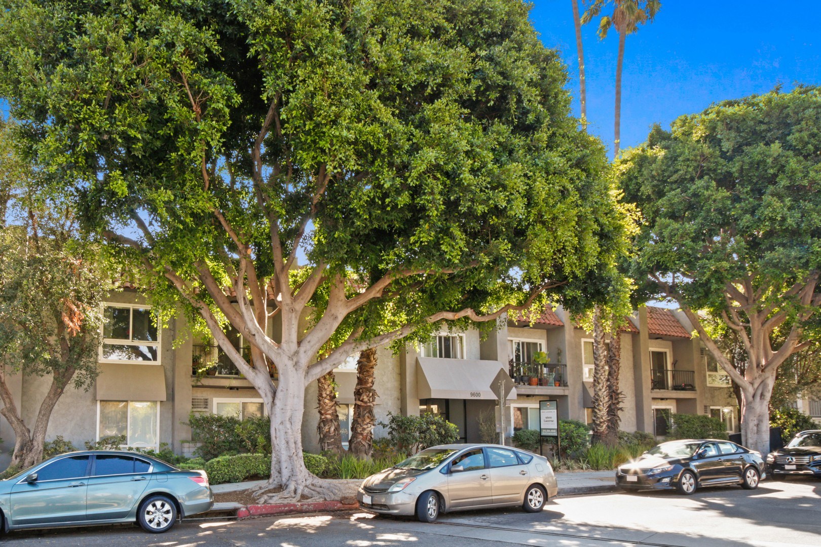 property for rent #7