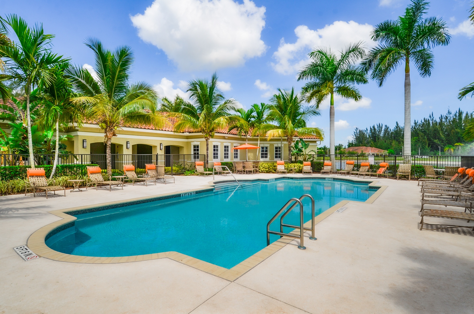 A large swimming pool surrounded by palm trees and lounge chairs.