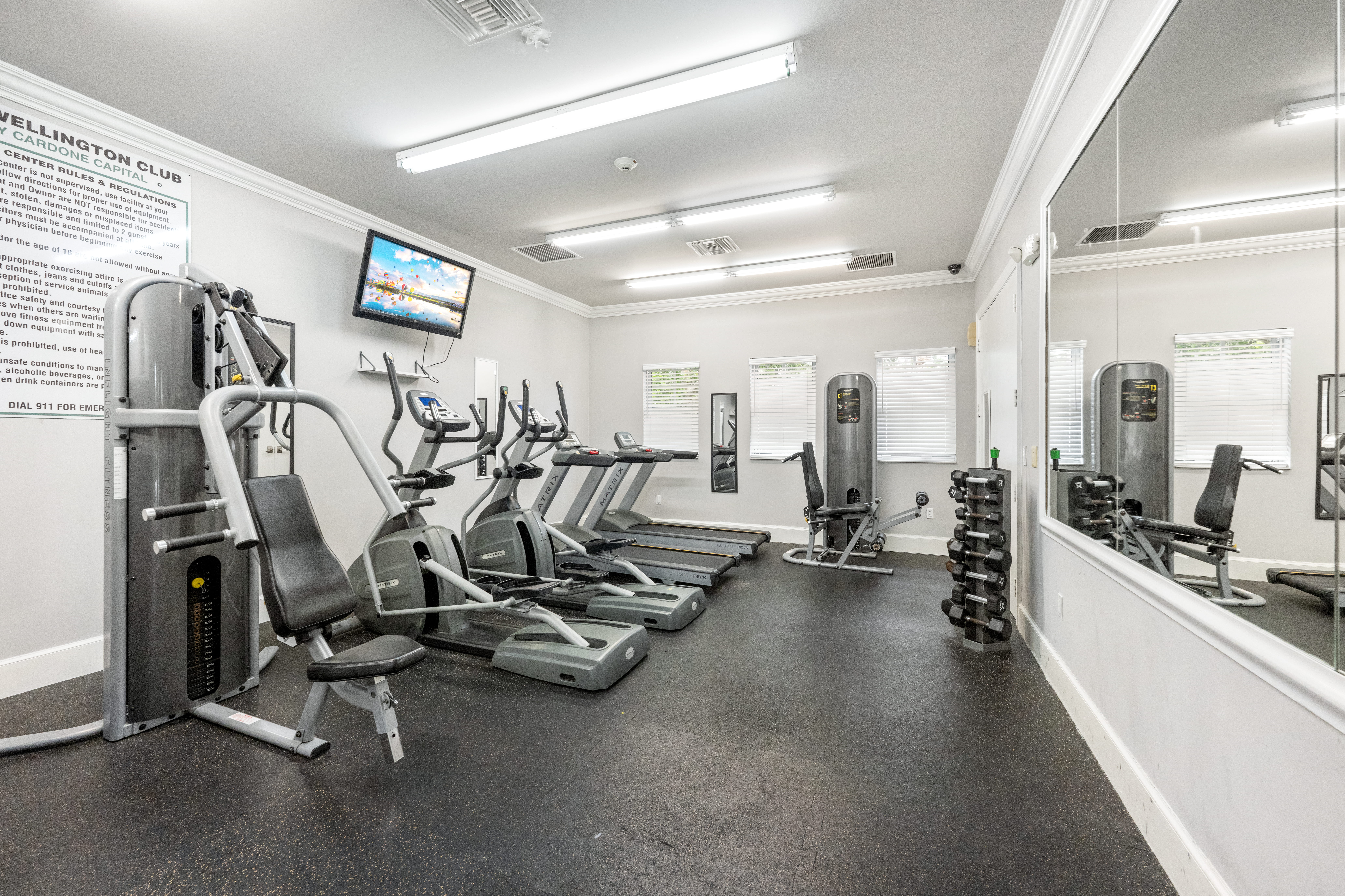 A gym with a variety of equipment including treadmills, weights, and a television.