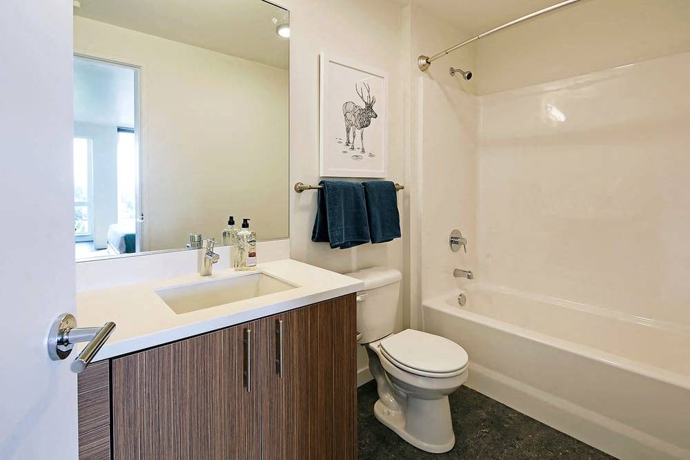 Rooster Apartments — image 5