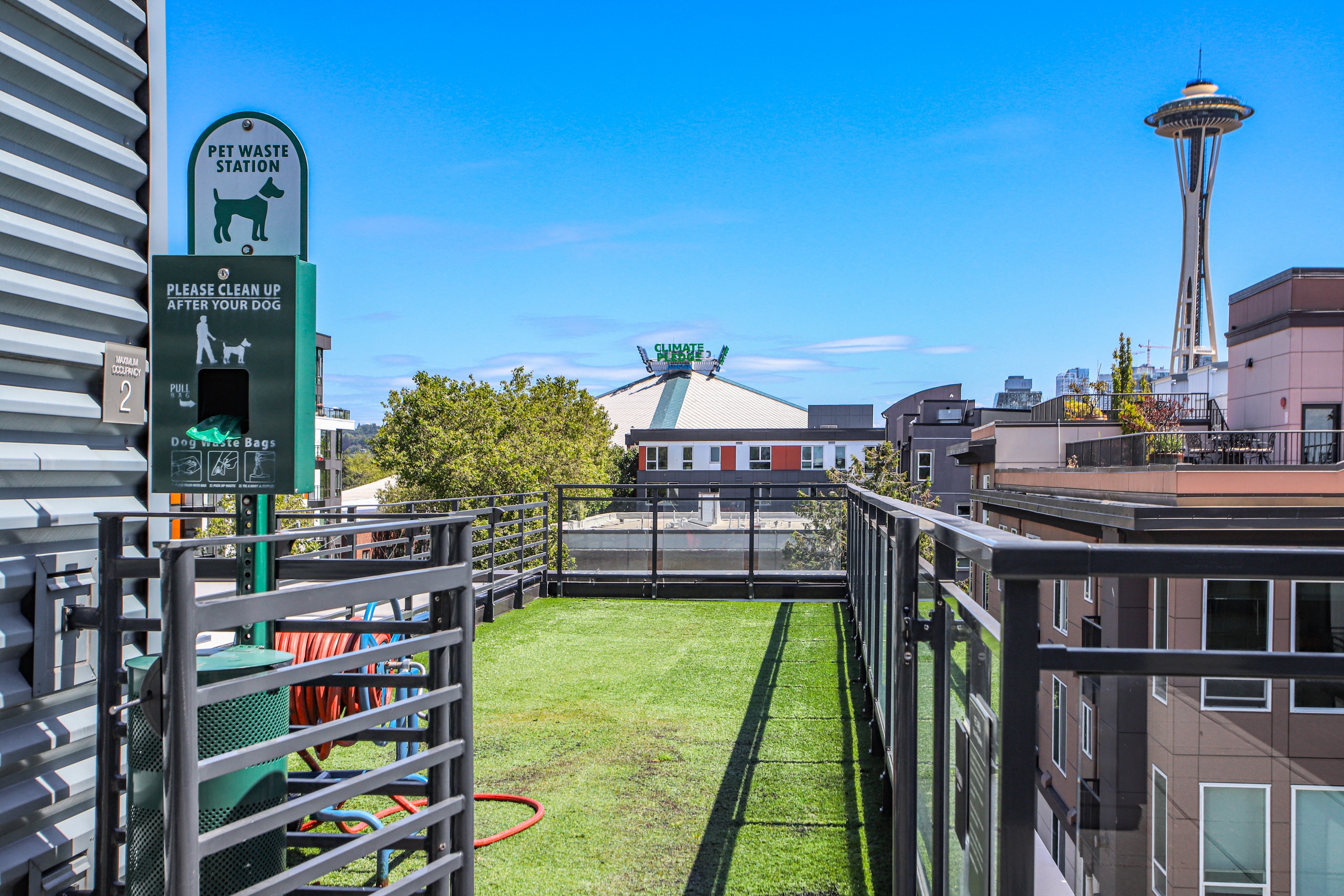 Cora Queen Anne — image 27