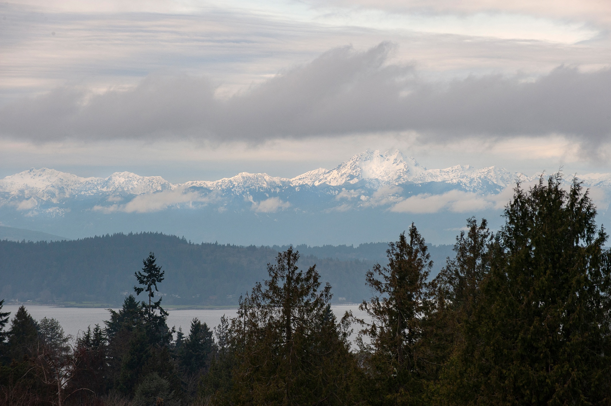 Luna West Seattle — image 9