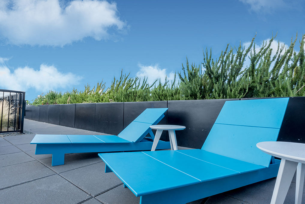 Rooster Apartments — image 33