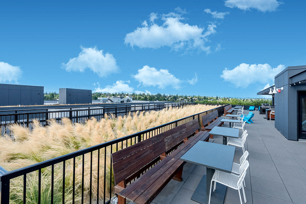 Rooster Apartments — image 37