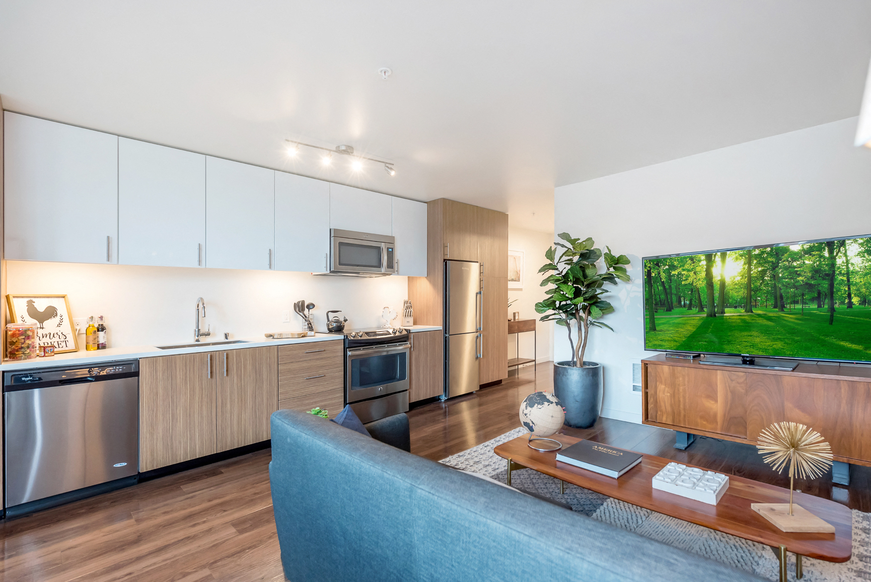 Rooster Apartments — image 21