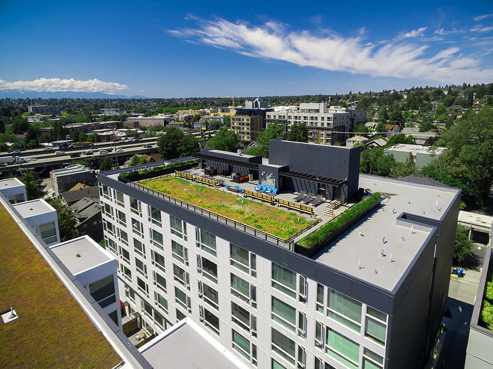 Rooster Apartments — image 15