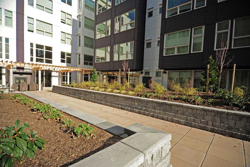 525 at the Enclave — image 12