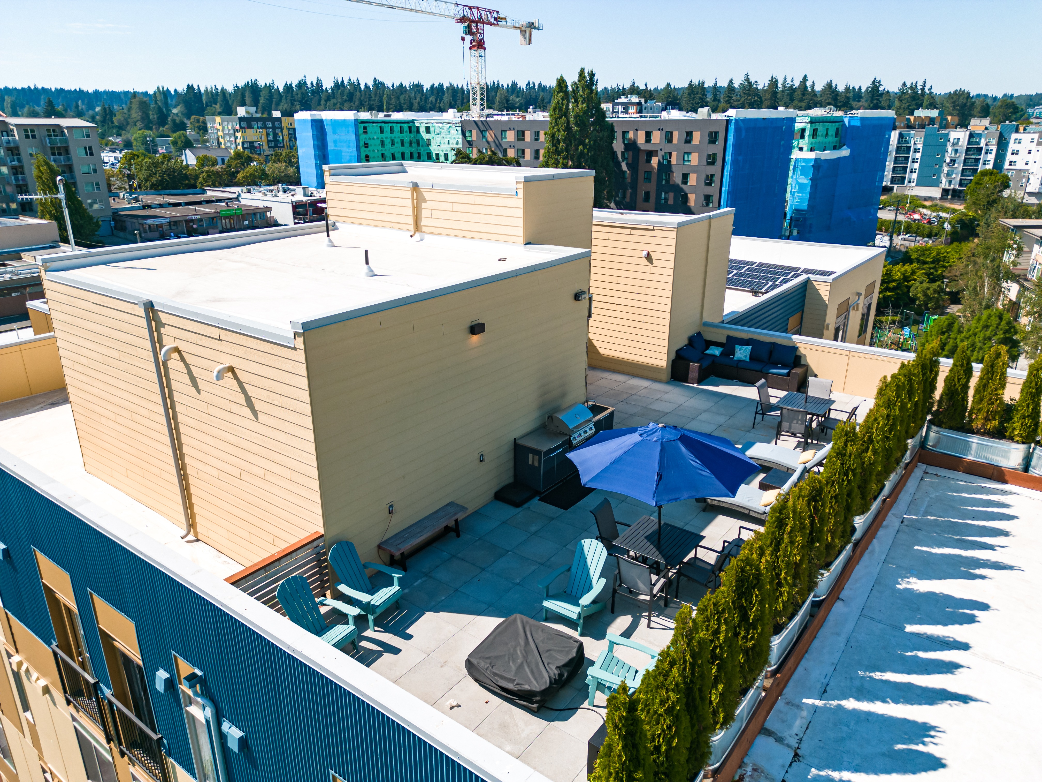 Bode 125 — image 5