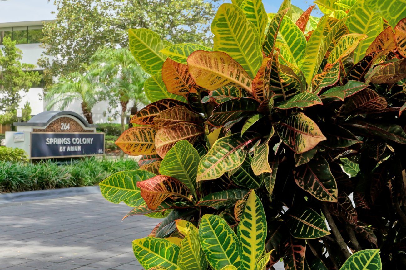 exterior landscaping