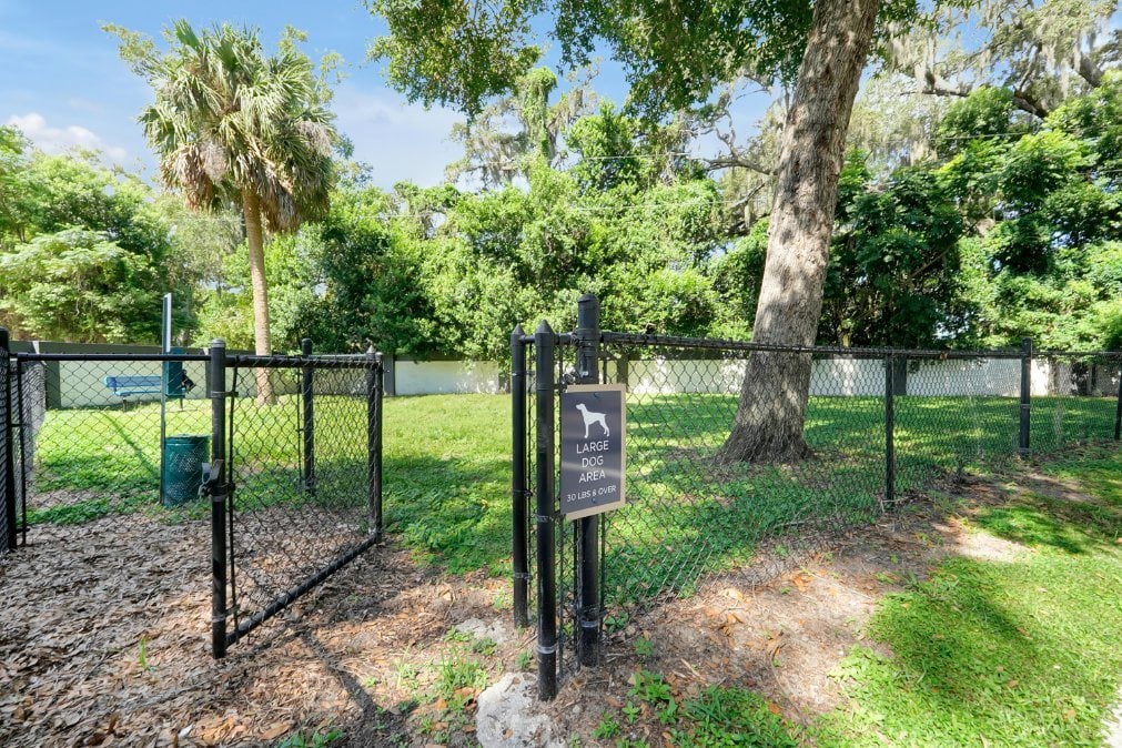 dog park