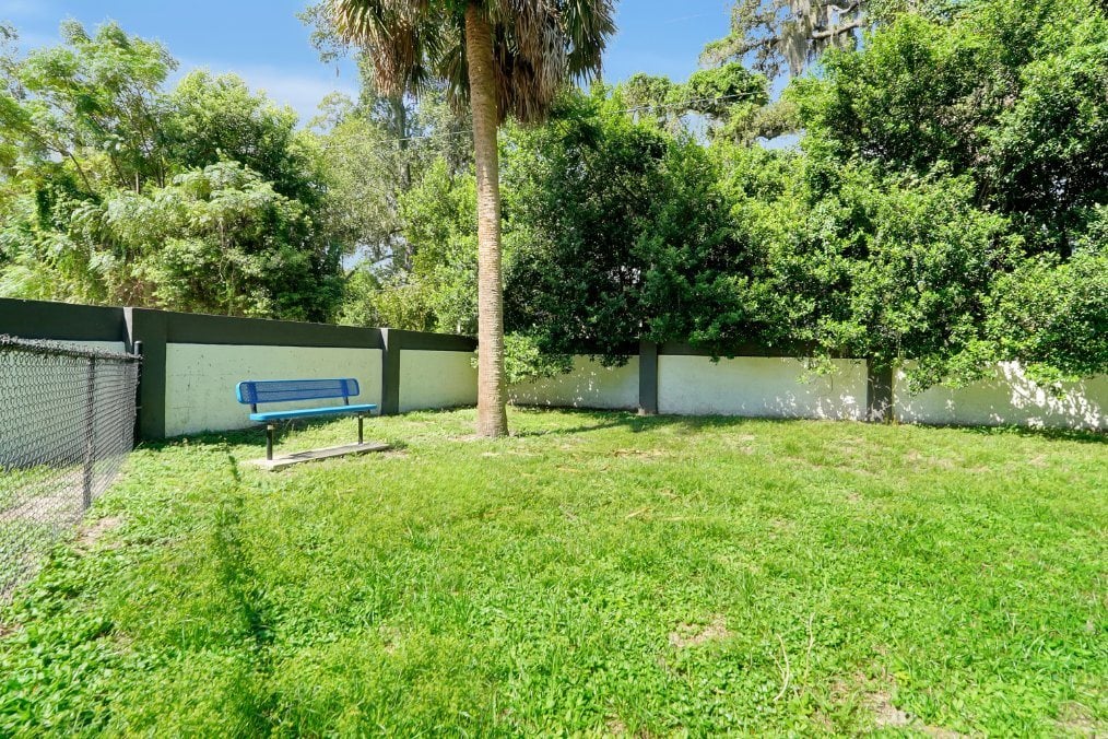 dog park