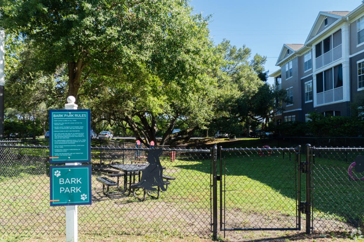 dog park