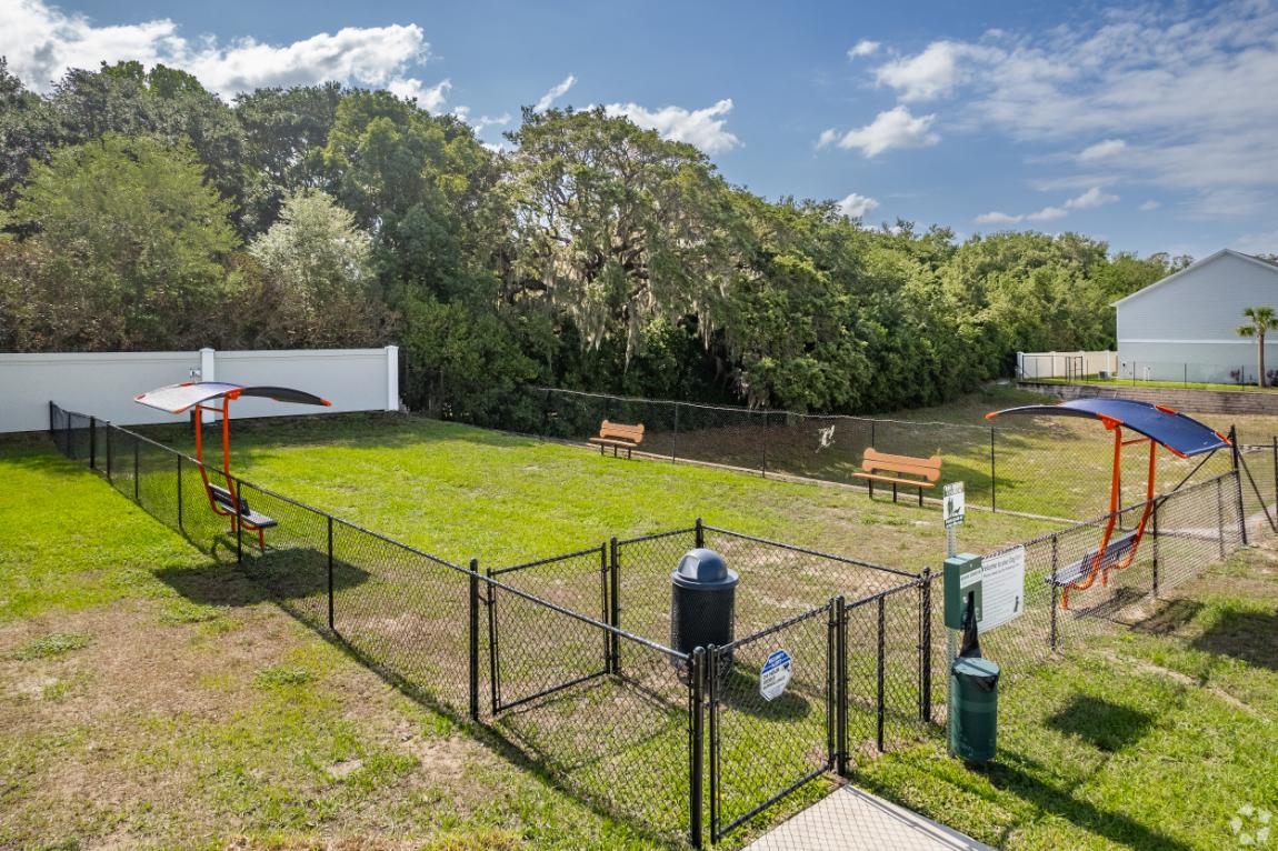 dog park