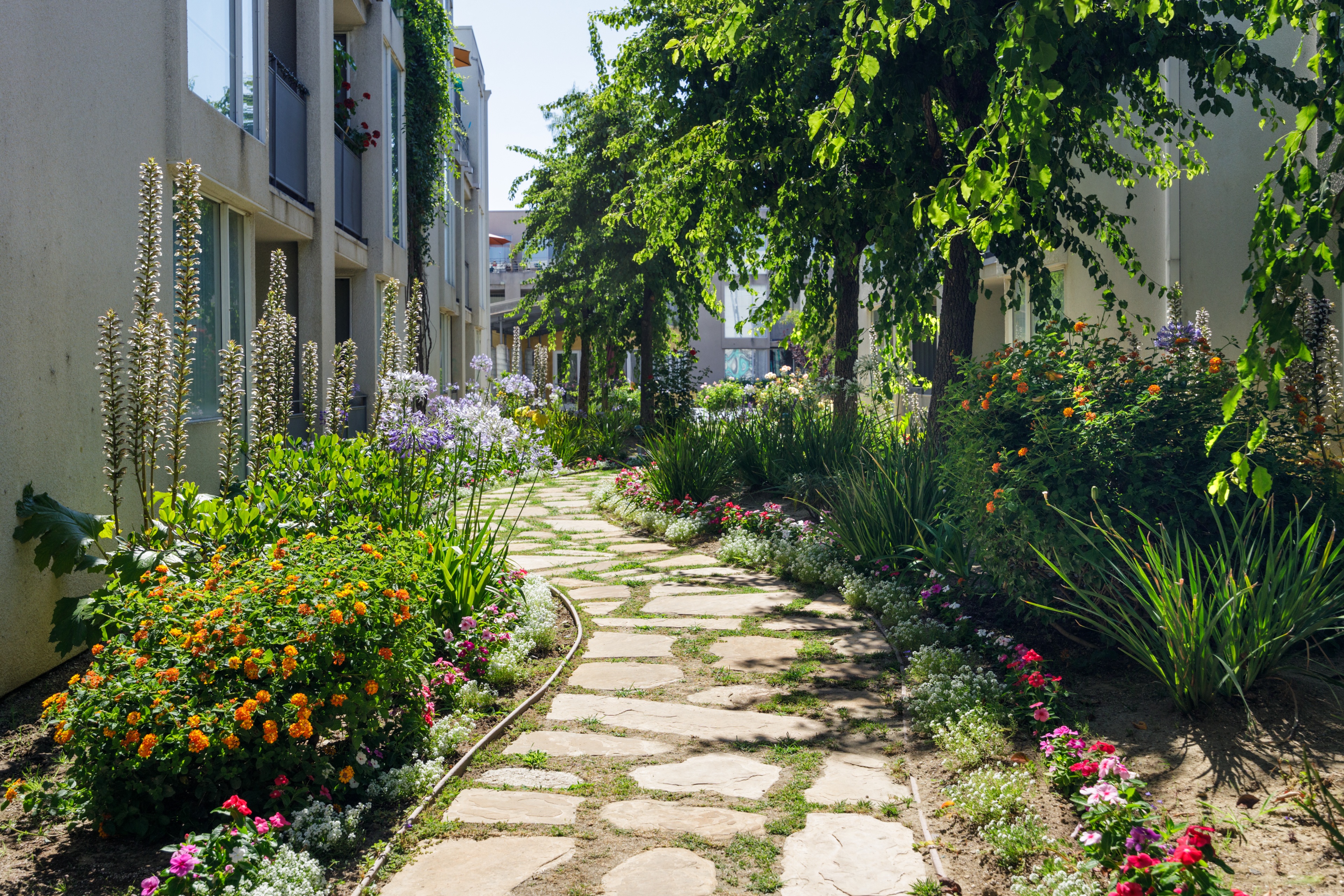 property for rent #6